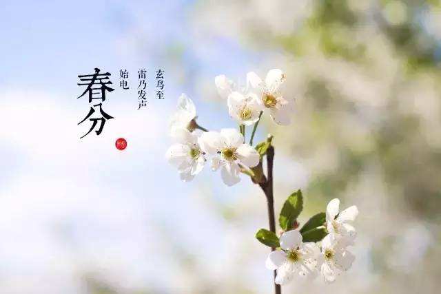 春风十里，不及我在bsports必一体育等你